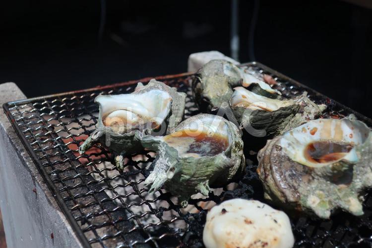 さざえの姿焼き さざえ,網焼き,姿焼きの写真素材