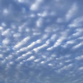 鱗雲 雲,空,風景の写真素材