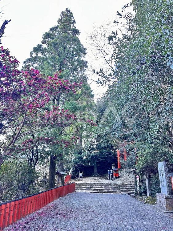 神倉神社　熊野三山　天ノ磐盾　境内 熊野三山,景色,景観の写真素材