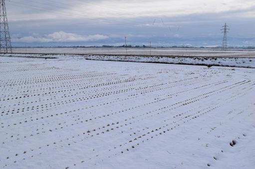 Snow Country Rural Scenery, Shonai, Yamagata Prefecture, JPG Snow Country Rural Scenery, Shonai, Yamagata Prefecture, JPG