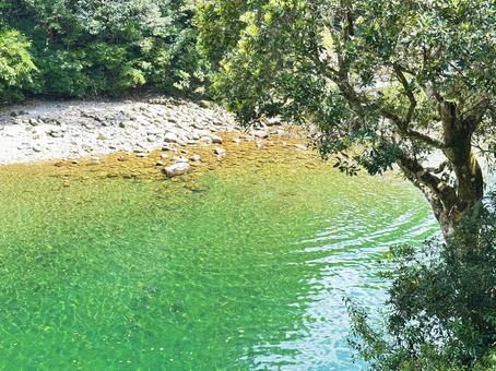 高田川 清流 高田川 清流の写真