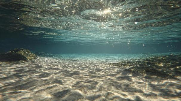 自然の神秘:透明な海の底 自然の神秘:透明な海の底の写真