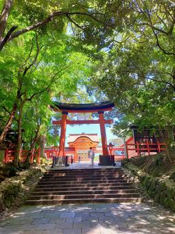 宇佐神宮の鳥居 宇佐神宮の鳥居 参道,自然,霊場の写真素材
