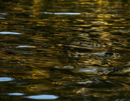 秋の湖に映る紅葉と水面の反射2の写真