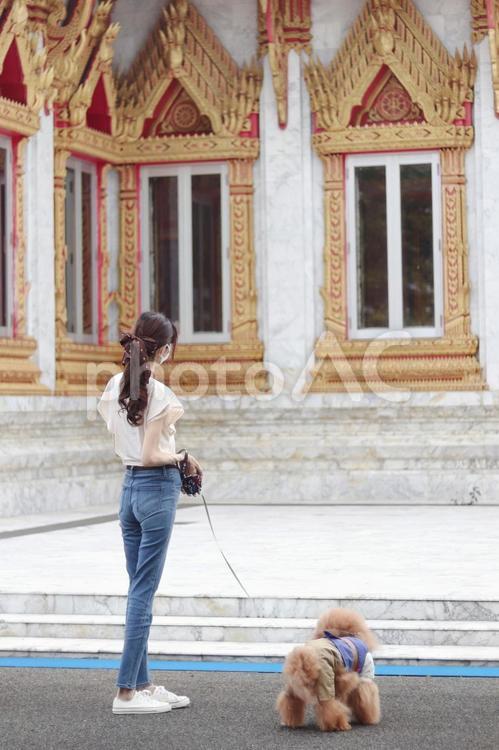 愛犬と散歩 愛犬,散歩,女性の写真素材
