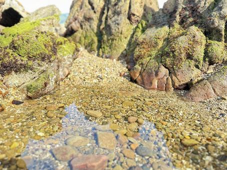 海岸 磯 干潮 海岸 磯 干潮の写真