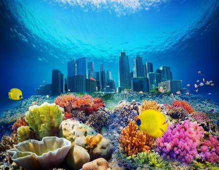 海で泳ぐカラフルな熱帯魚 海で泳ぐカラフルな熱帯魚の写真
