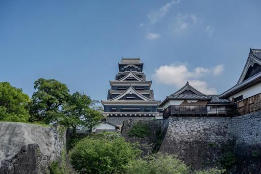 熊本城周辺の景色 熊本城周辺の景色 熊本城,天守閣,castleの写真素材