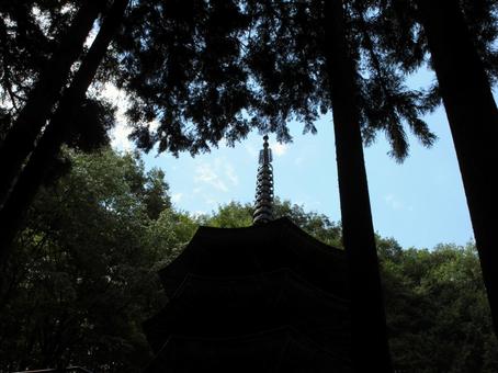 長野県-安楽寺-国宝-八角三重塔-近景 長野県-安楽寺-国宝-八角三重塔-近景の写真