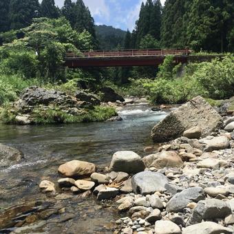 緑豊かな森にかかる赤い橋 緑豊かな森にかかる赤い橋 自然,風景,川の写真素材