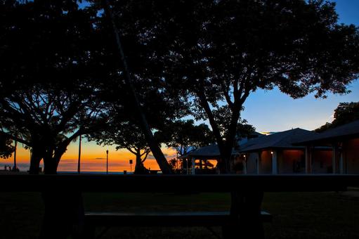 夕暮れのワイキキの公園 夕暮れのワイキキの公園 ハワイ,ワイキキ,公園の写真素材