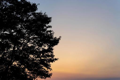 沈む太陽 沈む太陽の写真