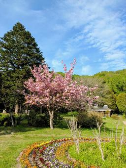 北海道　洞爺湖中島の風景の写真