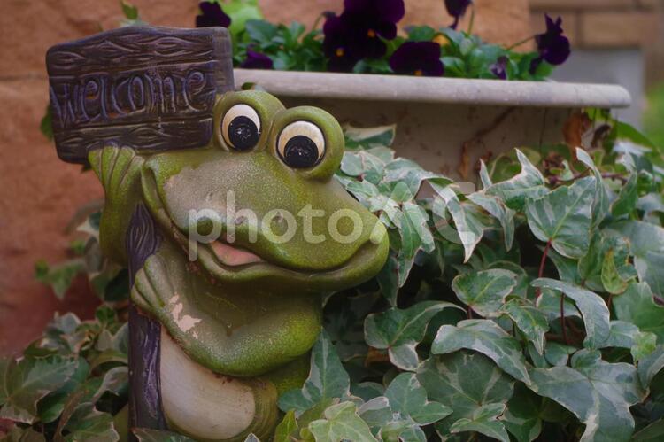 笑顔のカエル アンティーク,インテリア,緑の写真素材