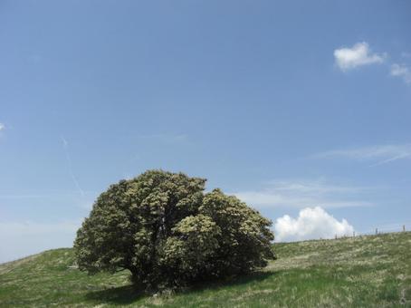 山伏峠の景色-13 山伏峠の景色-13の写真