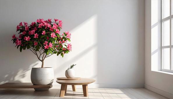 躑躅の花 躑躅の花の写真