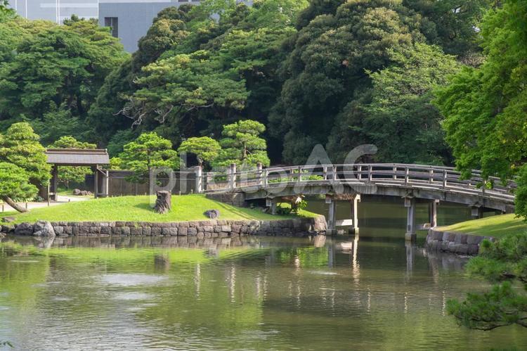 浜離宮恩賜庭園の風景 浜離宮恩賜庭園,中島橋,潮入の池の写真素材
