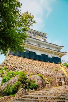 【岐阜】岐阜城 2025 【岐阜】岐阜城 2025 岐阜城,城,岐阜の写真素材