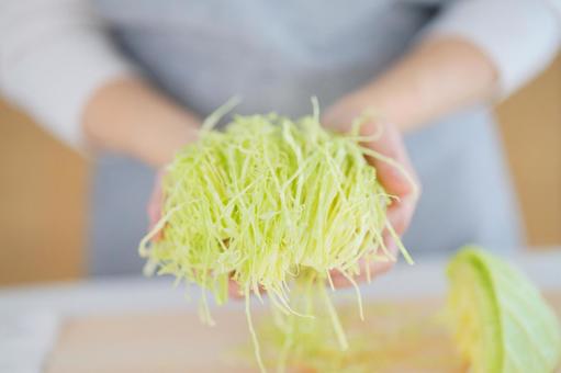 キャベツの千切りを持つ両手 キャベツ,千切り,持つの写真素材