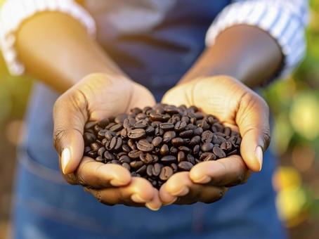 手の中のコーヒー豆 生成AI 手の中のコーヒー豆 生成AI の写真