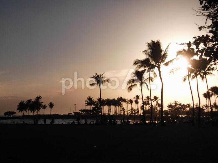 ハワイの夕暮れ ヤシの木,サンセット,ビーチの写真素材