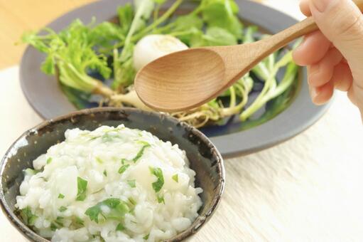 春の七草粥 春の七草,七草,七草粥の写真素材