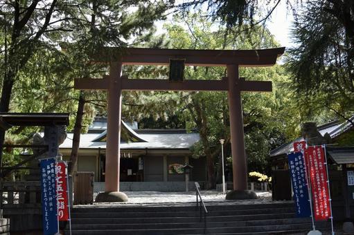 和歌山県靖国神社 和歌山城公園,和歌山城,和歌山県の写真素材
