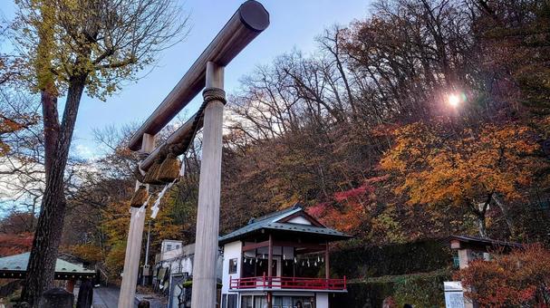 伊香保神社 伊香保神社 伊香保神社,神社,伊香保温泉の写真素材