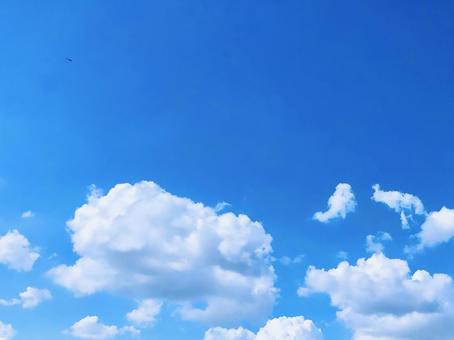 青空 青空の写真