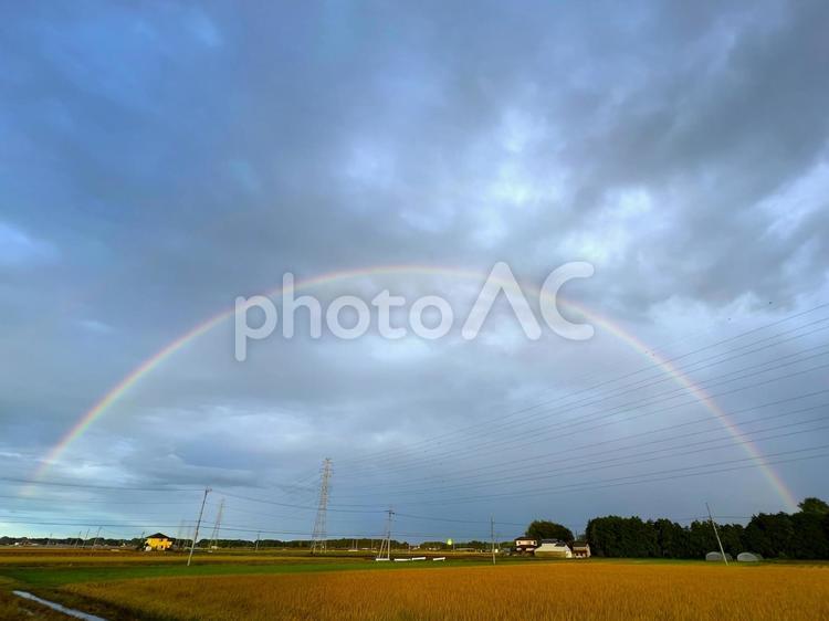 雨上がりの大きな虹 虹,レインボー,雨上がりの写真素材