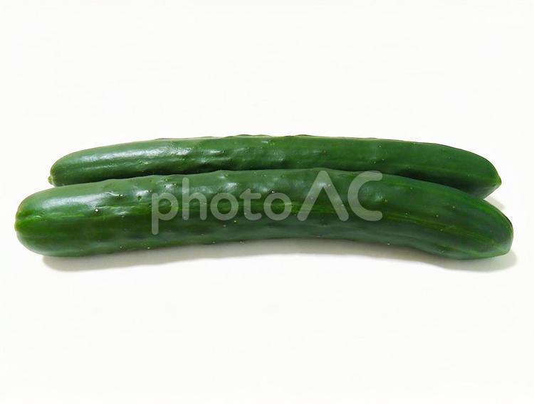 きゅうり　生野菜 きゅうり,胡瓜,キュウリの写真素材