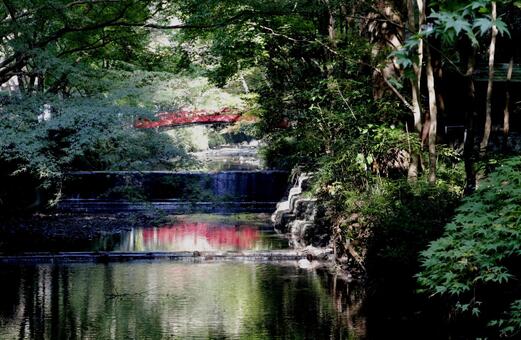 静寂な神社の森に架かる橋 静寂な神社の森に架かる橋の写真