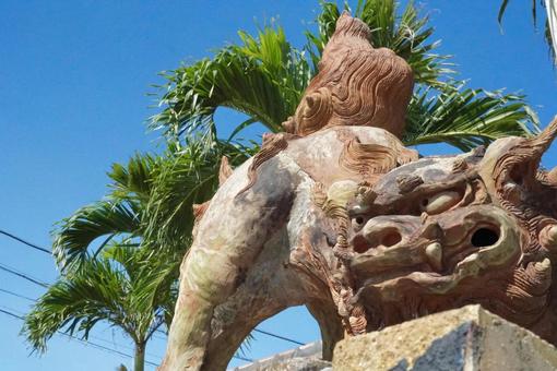 Blue sky, plants and Shisa, JPG