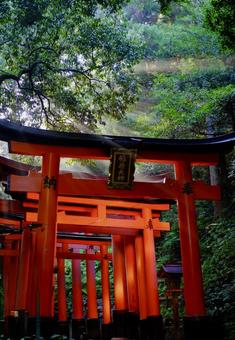 静けさに包まれる朱の参道 静けさに包まれる朱の参道 神社,鳥居,朱色の写真素材