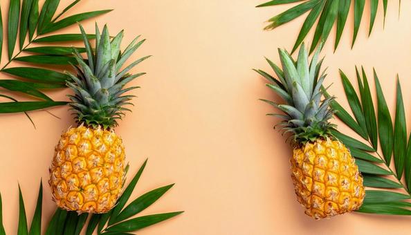 夏夏のギフトのイメージ パイナップル 夏夏のギフトのイメージ パイナップルの写真
