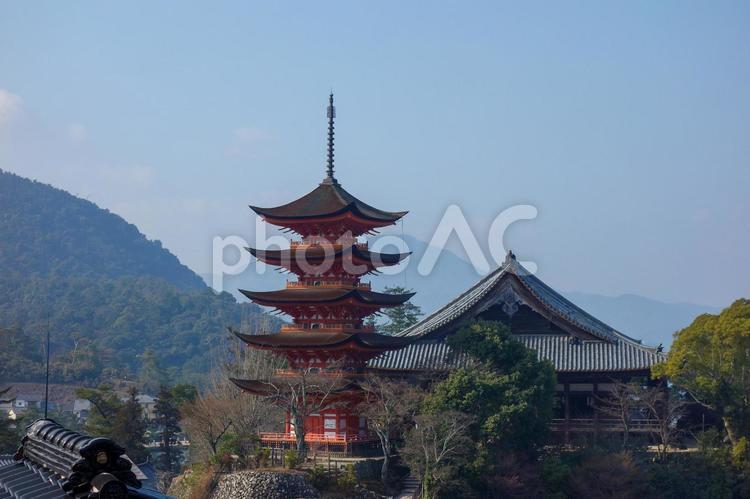 宮島　青空と五重塔 宮島,五重塔,厳島神社の写真素材