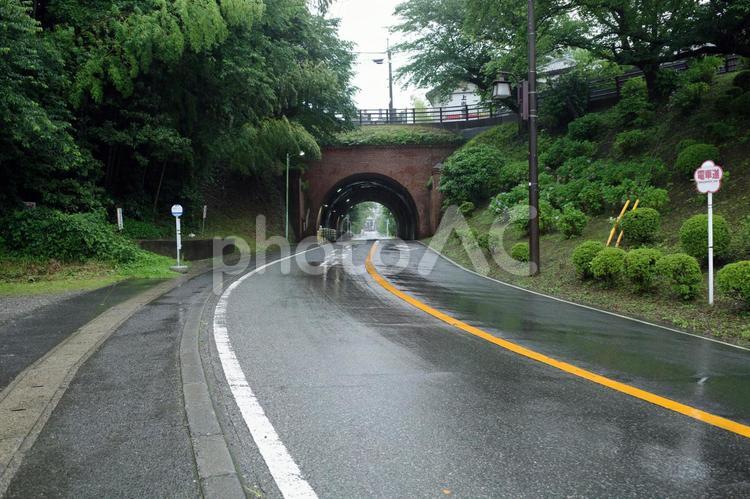 成宗電気軌道第2トンネル跡 成宗電車,廃線,トンネルの写真素材