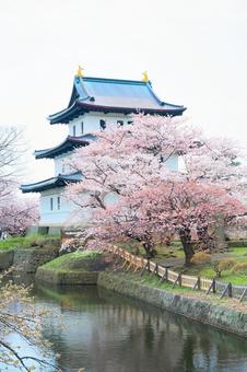 松前城の桜 松前城の桜 松前,松前町,松前城の写真素材