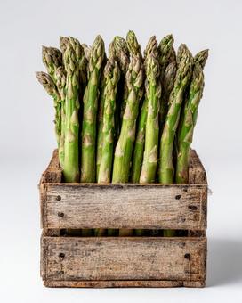 木箱の中に入ったアスパラガス 木箱の中に入ったアスパラガスの写真