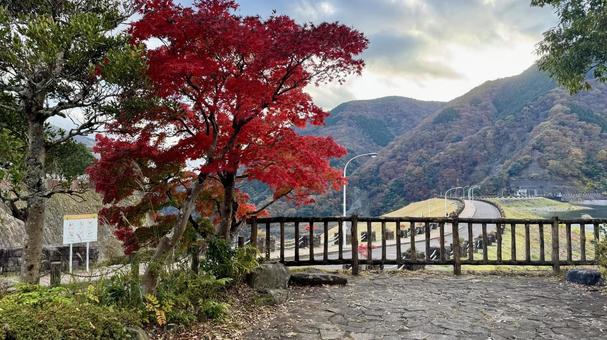 紅葉風景 紅葉,秋,色付きの写真素材