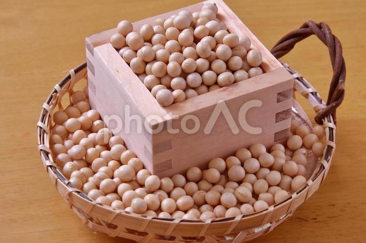 乾燥大豆 大豆,豆,豆類の写真素材