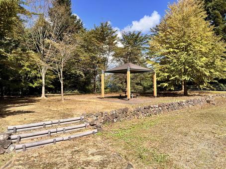 公園 公園の写真