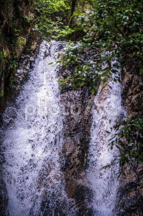 滋賀県大津市　楊梅の滝（雌滝）6 滝,水,川の写真素材