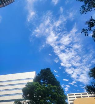 街中の鱗曇2 街中の鱗曇2 うろこ雲,夏,街中の写真素材