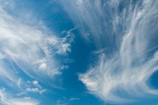秋の空2 秋の空2 晴れた空,秋の空,秋空の写真素材