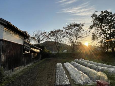 沈みゆく夕日と畑 夕陽,夕日,日没の写真素材