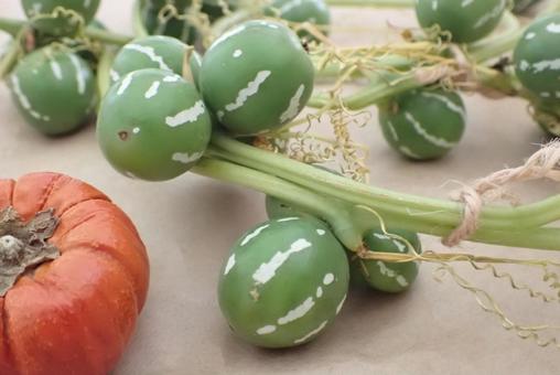 ハロウィンの写真