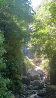 洒水の滝 洒水の滝の写真