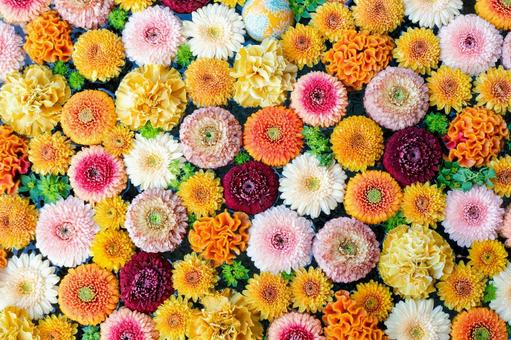 花手水 花手水,花,可愛いの写真素材