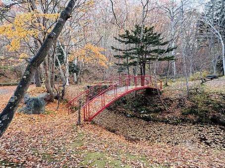 秋の景色 紅葉,橋,落ち葉の写真素材